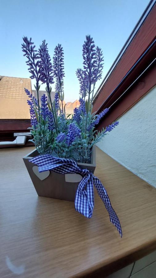 Ferienwohnung Weser Minden  Exterior foto